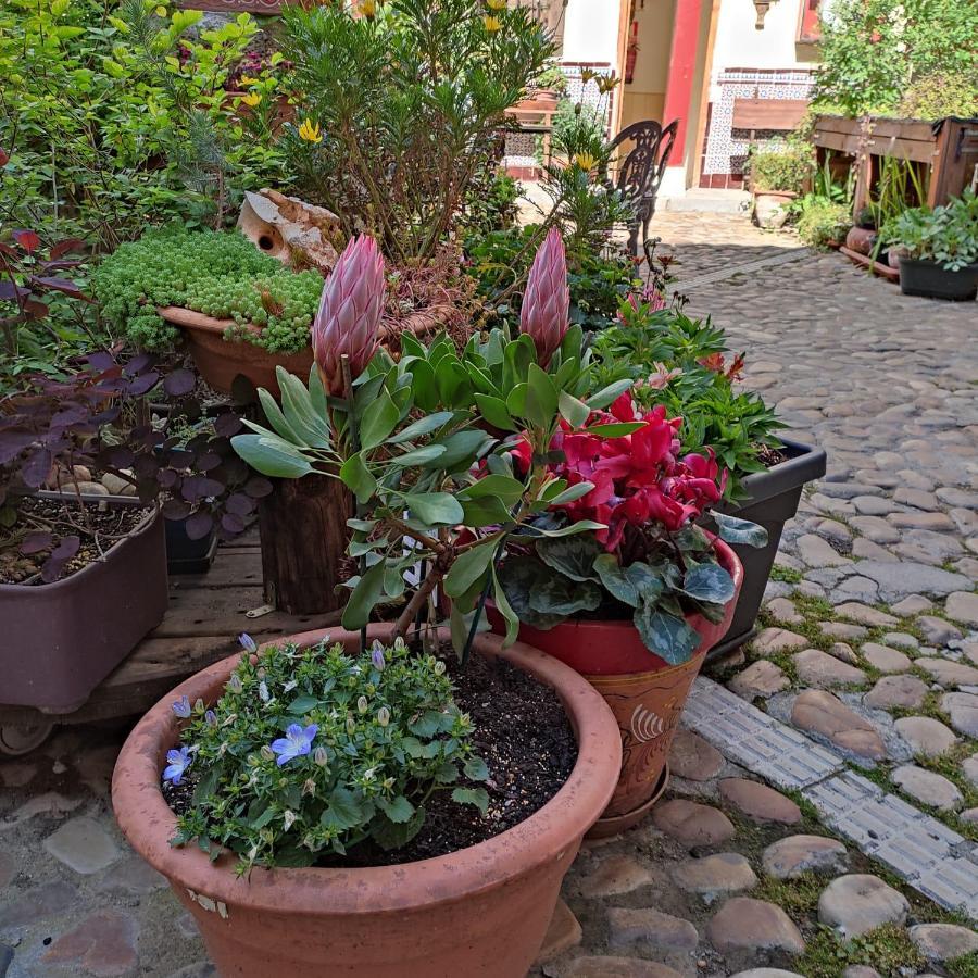 Hostal Castilla Aranjuez Exterior foto